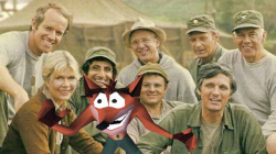 keatonpatti: M*A*S*H Bandicoot