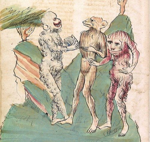 wooly friends Konrad von Megenberg, Das Buch der Natur, Hagenau ca. 1442-1448 Universitätsbibli