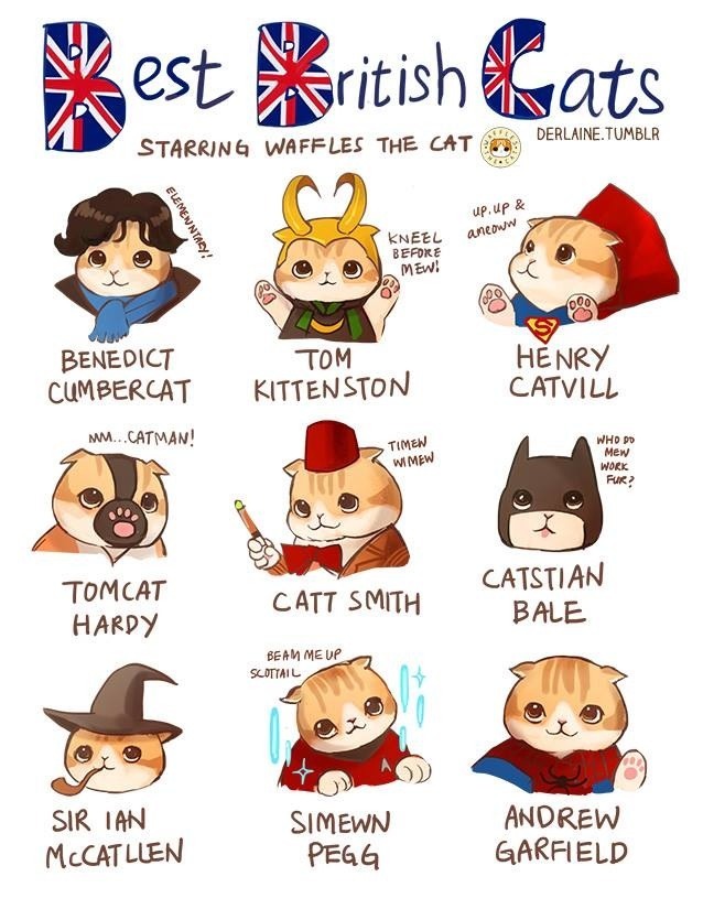 lokisqueenbee:  It’s just to cute not to post lol 💛😻✨ 
