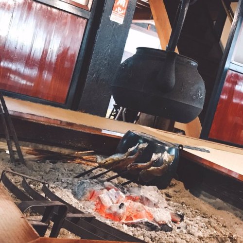 長谷川玲奈さんのツイート: #岩魚 美味しすぎた！ 塩加減が最高(* • ω • )b また食べたい #火が通れば魚食べれる t.co/FSJjHedZ