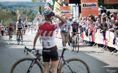 velo2max: Fleche Wallonne 2014