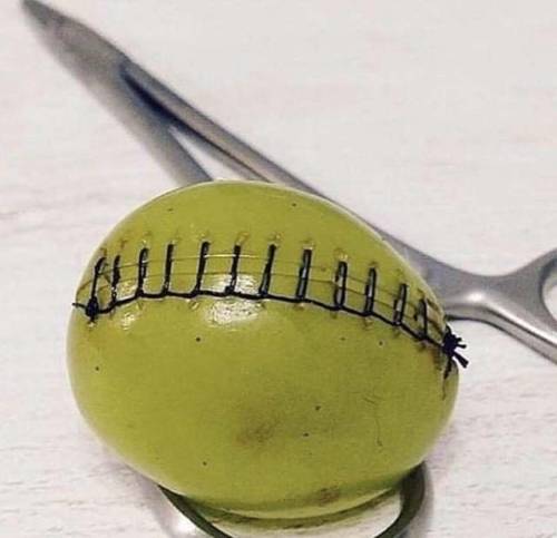 stationary-bike:sixpenceee:This is how surgeons train in grapes to prepare their hands SourceTh