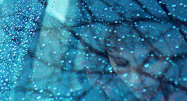 asilversnake: “What a strange girl you are.” Carol (2015) dir. Todd Haynes.