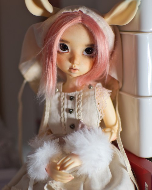 I got a nice camera and lens lot on eBay so I ran aorund my room taking pictures of dolls as they we