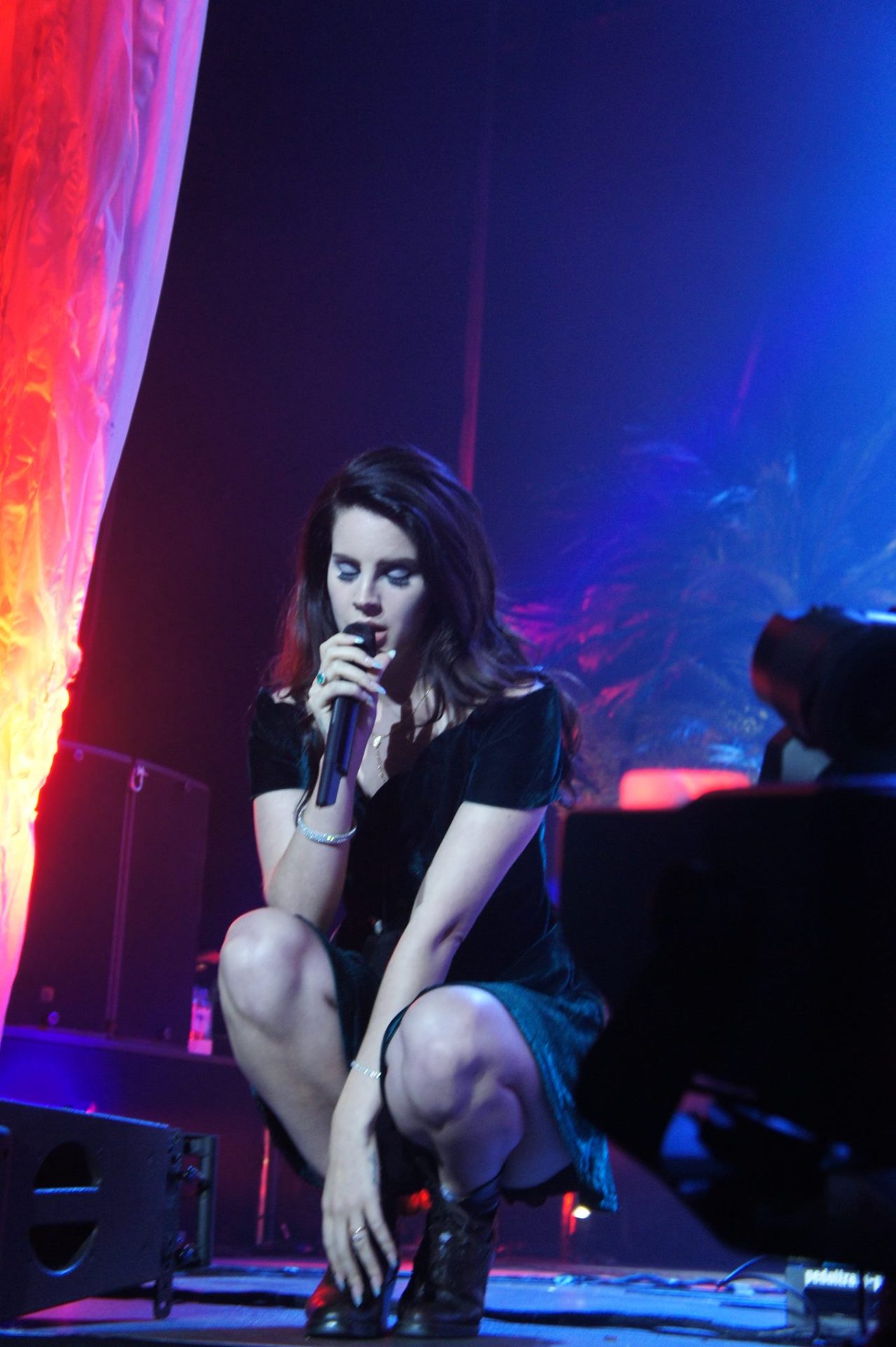 y-ung:  a friend of mine take this wonderful picture at lana’s concert. I WAS THEREEE 