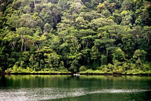 mountain-call:  Golfo Dulce, Costa Rica