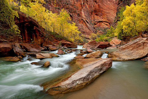 Entrance to Zion Narrows - “Gorge of Generations” by Stephen Oachs (ApertureAcademy.com)