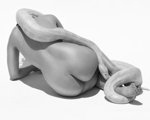 Sylvie Blum Giant Albino Python 2017