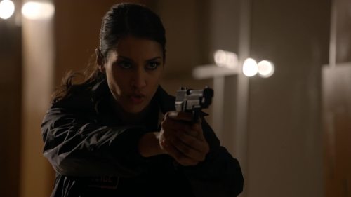 Janina Gavankar in Arrow