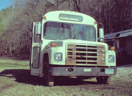 thesnakeandtherabbit:  “Magic Bus Days”So we were walking along in the woods one day and found ourselves a bus. I just couldn’t let such a golden opportunity slip by. Rabbit thought he was just going to take a few snapshots of a girl in