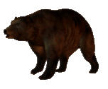 the-caffeinated-pigeon: australian-frog-cakes:  the-entire-furry-fandom:  ww-swagabond:  meta18:  osoru:   slowly approaching bear  the bears will be in eventually   Bear will arrive sooner than thought.   BEAR IS APPROACHING AT ALARMING SPEEDS  BEAR