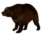 dxindustriesinc:the-entire-furry-fandom: ww-swagabond:  meta18:  osoru:  slowly approaching bear  the bears will be in eventually  Bear will arrive sooner than thought.  BEAR IS APPROACHING AT ALARMING SPEEDS BEAR IS GO FAST LOSING TRACK OF BEAR BEAR