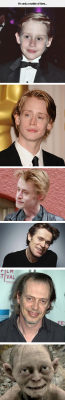 daily-meme:  Macaulay Culkin Evolution. 