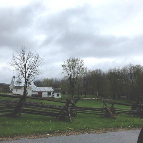 maggie-stiefvater:Yesterday I drove around Harpers Ferry &amp; Boliver, WV, prowling for a very 