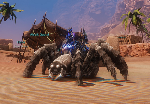 So I’ve been going on a mount catching spree in the new area in riders and this is my haul from the last three days <3