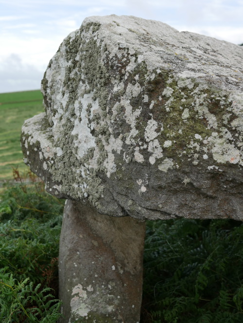 Mynydd Cefn Amlwch (Coetan Arthur) Burial Chamber, the Llyn Peninsula, North Wales, 26.8.16. This pr