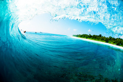 surf4living:  Mentawais sounds kinda fun…Ph: