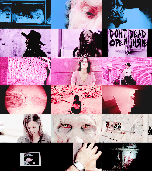 shadesofdixon:  &ldquo;Just focus on what you have to do. No matter what happens, we’ll de