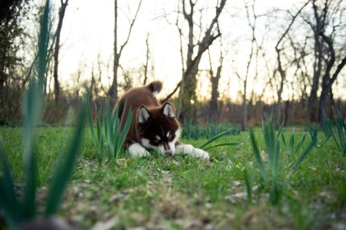 Morning yoga.