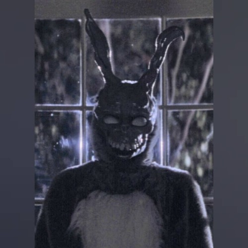 #DonnieDarko www.instagram.com/p/CNYZ3HFAaxS/?igshid=12gj5zc530lo7