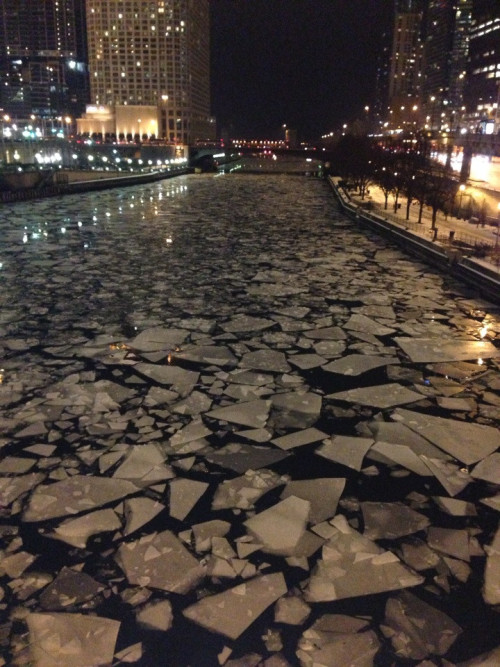 nudityandnerdery:  justcarl:  The Chicago River tonight.  Okay, I know that’s floating ice and I couldn’t walk across that.But I wanna try to walk across that. 