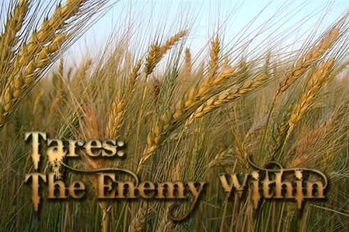 A Fresh Word — Wheat and Tares