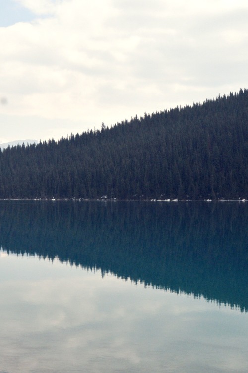 decepticun:  Perfect Symmetry | by the-ravenwine