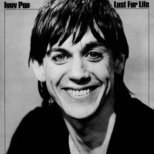 longliverockback:  Iggy PopLust for Life1977