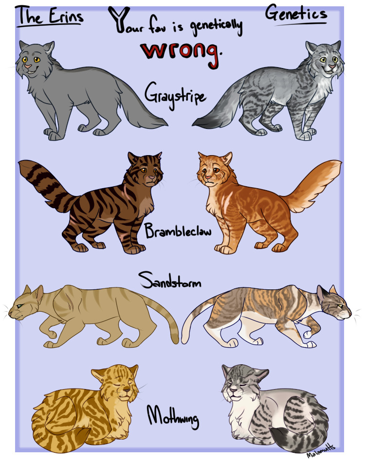 Do Other Cat species exist in Warrior Cats? : r/WarriorCats