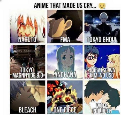  Clannad? Grave of the Fireflies?? Elfen Lied? Tsubasa Chronicle? Wolf’s Rain? The only two an