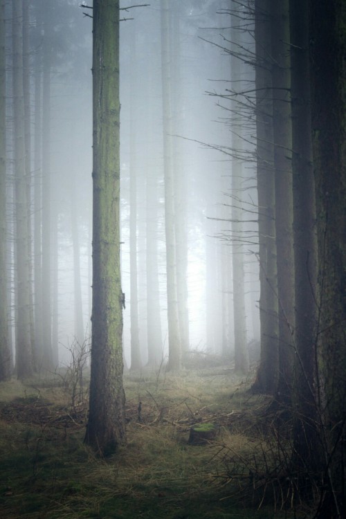 debbiee14:Distance…