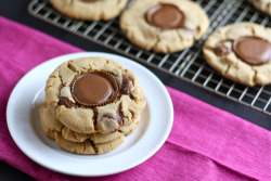 gastrogirl:  reese’s peanut butter cup