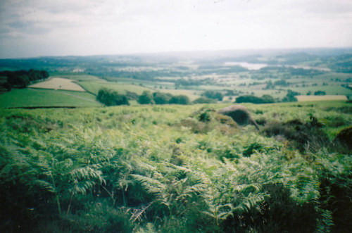 eyeleaves: Emily Harriet, Staffordshire. 2011