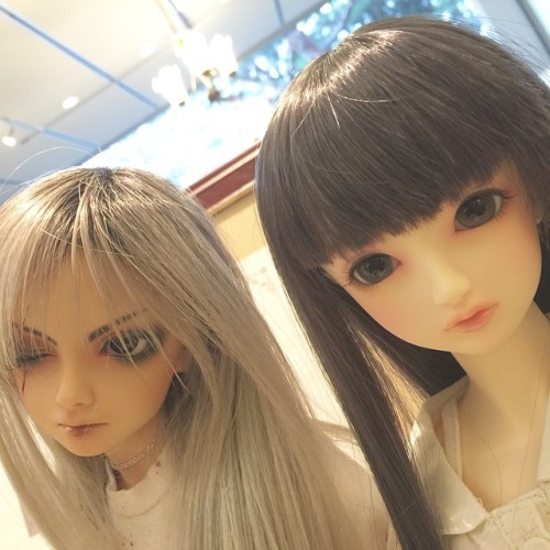 hikikonekkon:Distant relatives #Bjd #volks #superdollfie #cecil #chiyo #dolls @yankibanchoCecilllll 