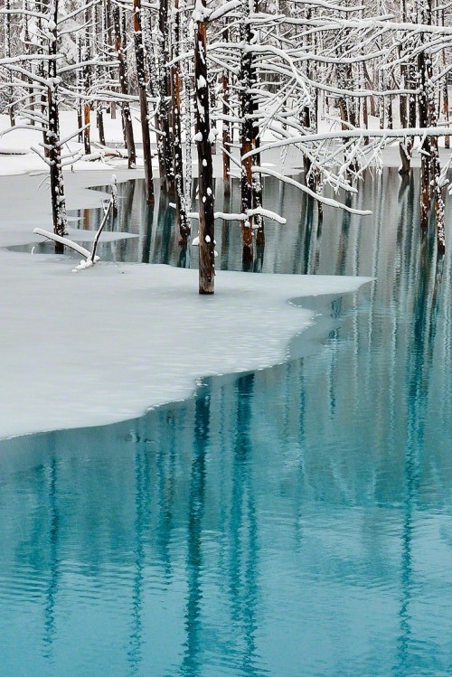valscrapbook:packlight-travelfar: (via 500px / Blue Pond & Spring Snow,Hokkaido by Kent Shiraish