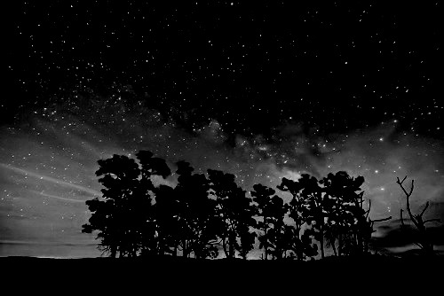 tumblr photo unattimoeternotrameete 0
