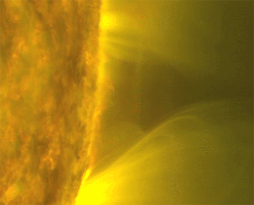 Solar Prominences Exhibit Various Eruptive Behaviors, Including Failed Eruptions. A Failed Eruption Is