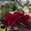 ambreuniverseblog