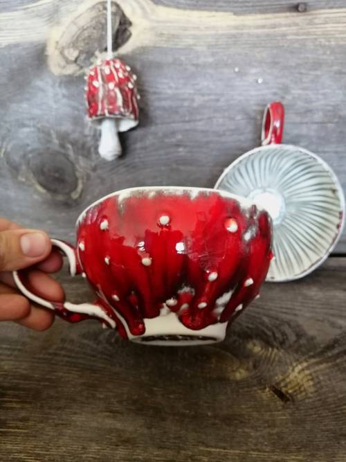  Mushrooms ceramics by Yasenka CreamPurchase Here ideal for magic potions 