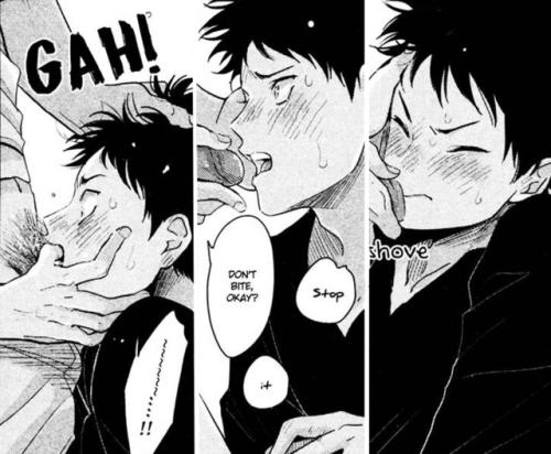 allboutheyaoi:  「Pink Cherry Blossom」
