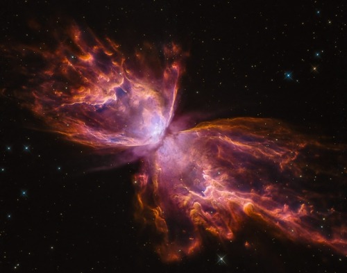 wonders-of-the-cosmos:  NGC 6302: The Butterfly Nebula Image Credit: NASA, ESA, Hubble, HLA;&nb