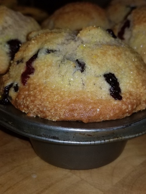 Homemade Blueberry Buttermilk Muffins with porn pictures