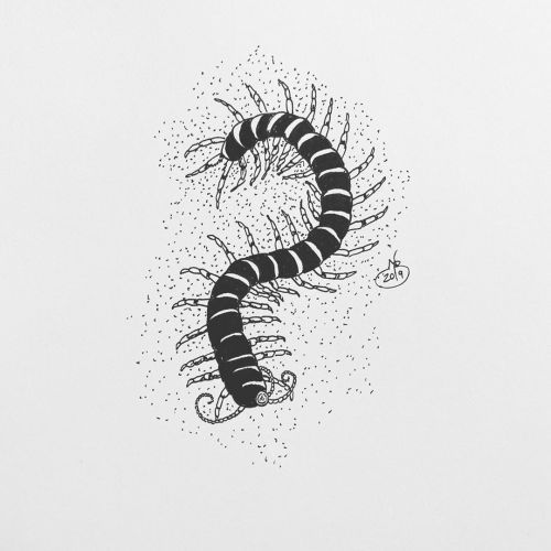Inktober Day 29: Centipede #centipede #inktober #micron #sakura #illustration #nadilynbeato #nadilyn