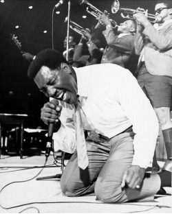 nebulously-burnished: Otis Redding