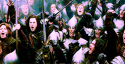 faramircaptainofgondor:  middle earth meme: {1/3} races→ men