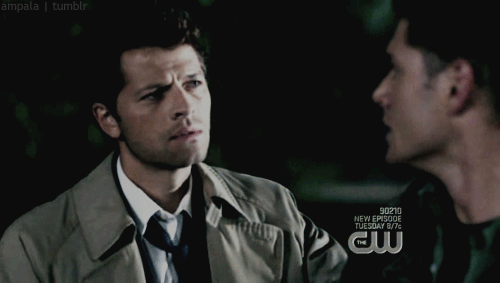 crossroadscastiel:  let me explain you a thing tumblr i ship these two assholes so