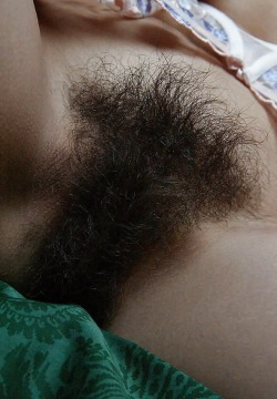 hairybustylover:  