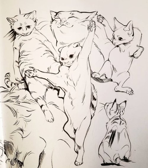 enshi: Inktober cats! These fuckin brushstrokes man, gonna give me a heart attack…