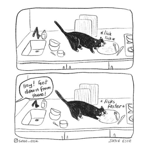 catsbeaversandducks:I have zero authority.Comic/caption