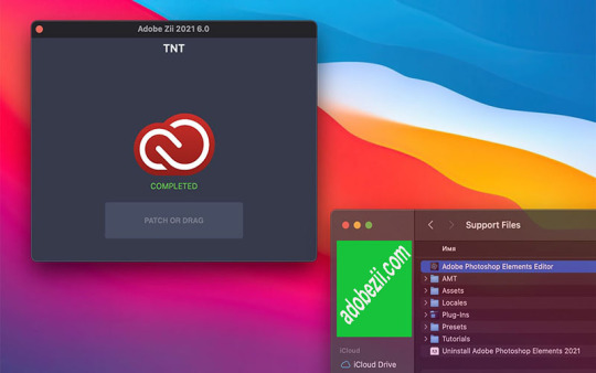adobe zii patcher forgot password adobe zii patcher forgot password